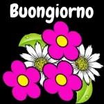 BUONGIORNO