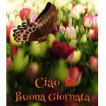 Divertimento e Serenità 🌈🤣