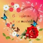 buon martedì  a tutti