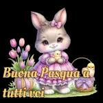 pasqua