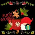 Buonanotte!!
Augurando.it