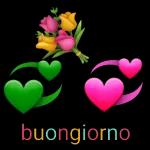 serena giornata 🌤