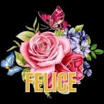 Ti adoro，mio amore