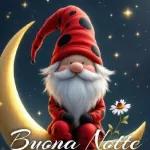 BUONA NOTTE