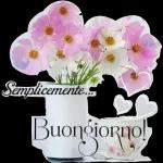 x8668 BUONA GIORNATA