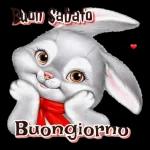 Buongiorno