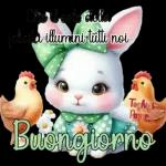 pasquale 