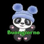 Buongiorno