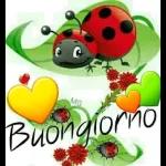 Buongiorno