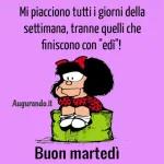 buon martedì  a tutti