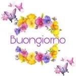 buongiorno 