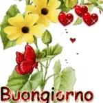 farfalle animate