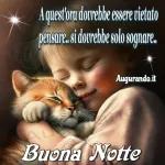 notte 