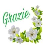 GRAZIE GRAZIE GRAZIE!