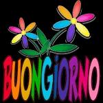 buon giorno