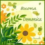 BUONA DOMENICA