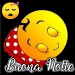 buon giorno  buona notte