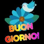 Buongiorno