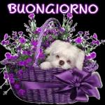 festa della donna e Pasqua