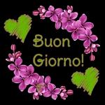 Buona notte