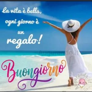 la vita è bella, ogni giorno è un regalo! Buongiorno - getsticker.com