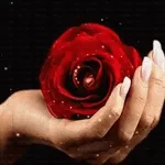 Buona giornata