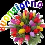 QUESTO ERAIL NOSTROBig Mac