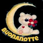 BuonAnotte