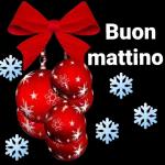 Buona Festa dell'Immacolata!