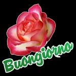 UN PENSIERO E' COME UN ABBRACCIO...  BUONGIORNO