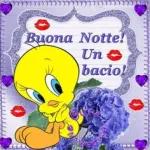 buonanotte 💗