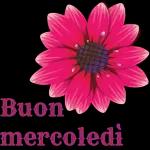 Buona settimana👀