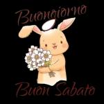 Buongiorno Buon Venerdi