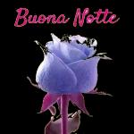 un
Abbraccio
3 e un Bacio
