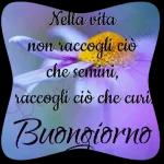 MERRY
CHRISTMAS
THEO TIID