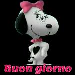  Buongio
rn