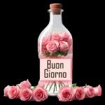 un super affettuoso buongiorno