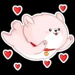 Buona Notte!!