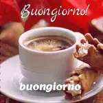 buon giorno