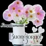  Buonanotte
Augurando.it
di vero Cuore..