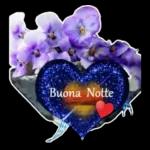 Buonanotte Stellata 🌟🌙