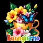 Buongiorno