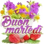 buon martedi