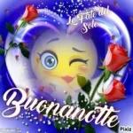 Le Fate del Sole Buonanotte umikimi.com Pixiz