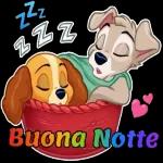 BuonanotoconDolciSogni