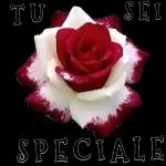 Buona colazione