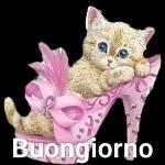buon giorno  buona notte