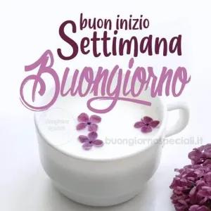 buon inizio Settimana Buongiorno - getsticker.com