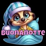 BUONANOTTE