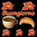 buon giorno